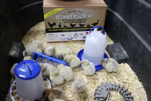 Load image into Gallery viewer, Beginner Poultry Brooder Kit
