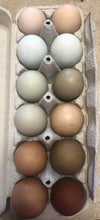 Load image into Gallery viewer, 1 Doz. Pasture Raised Chicken Eggs
