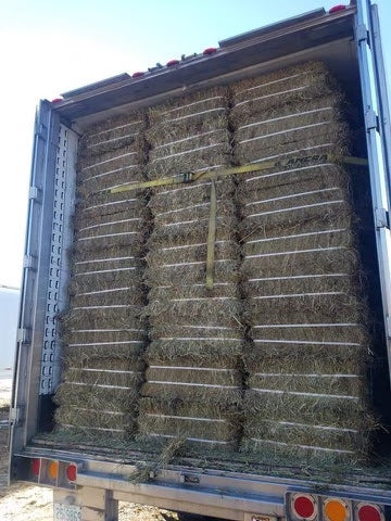 Compressed Timothy/Orchard Grass Hay